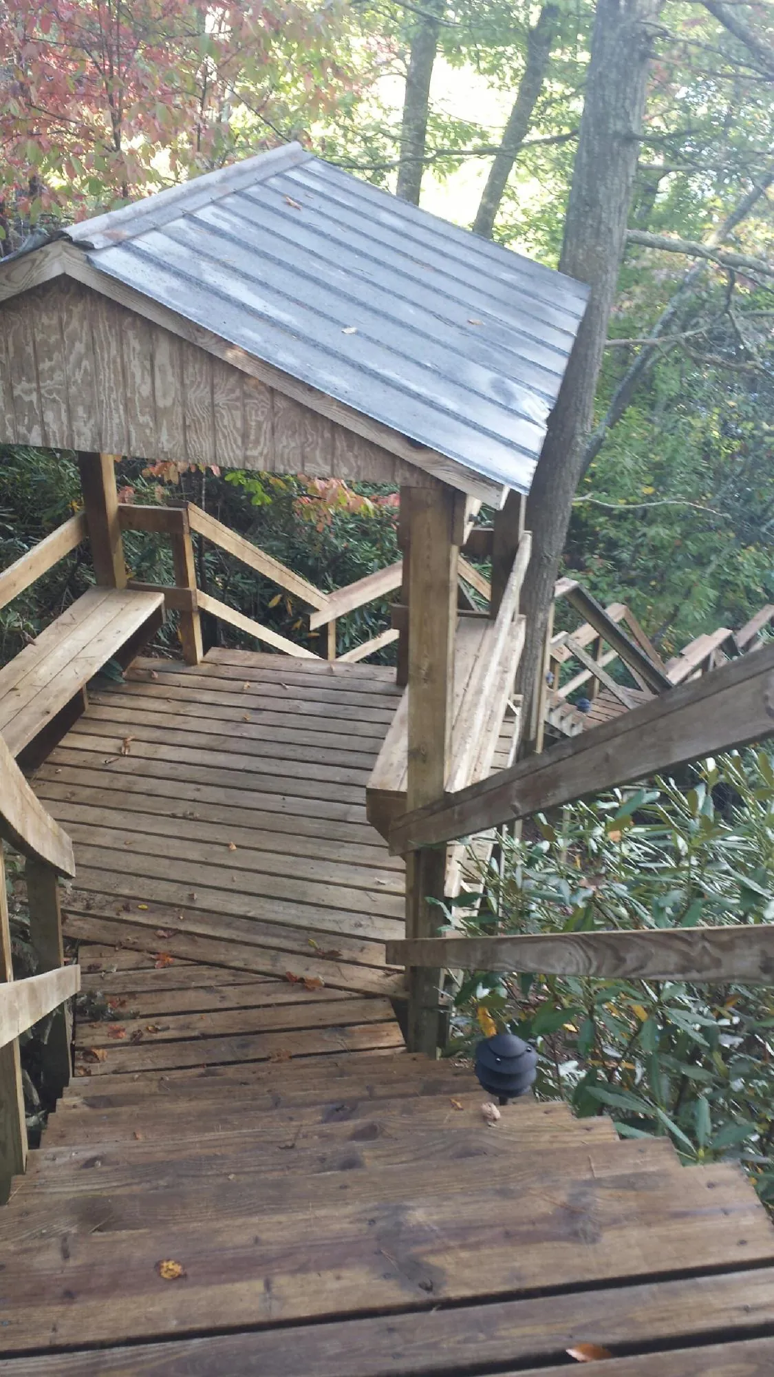 Metal roofed shelter over wooden steps on a wooded walkway — Skylight Repair & Installation work by our crew in Blanco